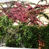 Seasonal wall covering