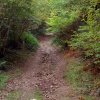 Another uphill climb.