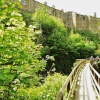 Canal walk rear of the Castle