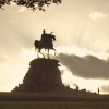Copper horse