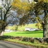 Teesdale