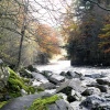 High Force