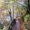 High Force