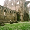 Tintern Abbey