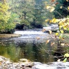 Bishopdale