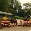 Local transport in Polperro