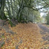 Quantock Hills
