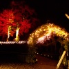 Enchanted Gardens - The Fairy Dell