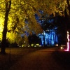 Enchanted Gardens - The Woodland walk