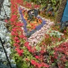 St Peter & St Paul Church garden