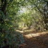 Carr Lane, Ulley