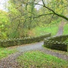 Over Hacking Woods