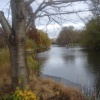 St.James Park