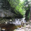 A Waterfall near Ingleton