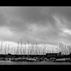 Masts on the R. Arun.