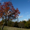 The Royal Observatory in Autumn