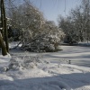 Peckham Rye