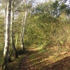 Autumn pathway