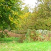 Longridge Fell