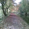 On the canal