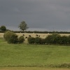 Rutland water nr Oakham