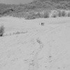 Winter in the Went Valley 2008