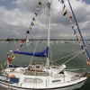Small Harbour and boats with bunting..