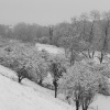 Went Valley in Winter 2008