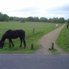 Brockenhurst, Hampshire