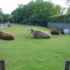 Brockenhurst, Hampshire