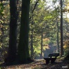 Seat in the woods