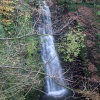 Falling Foss October 2009
