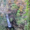 Falling Foss