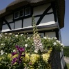 Cottage in the village with flowers