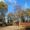 Dunwich Heath Autumn 2009