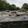 Iron Bridge