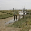 The Estuary and Creek