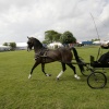 East of England Show