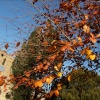 St Michael and All Angels' Church, Finmere, Oxon.