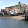 The Harbour