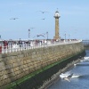 Whitby Harbour with the ever present gulls