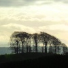 Hurst Green