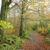 Hurst Green