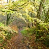 Hurst Green