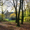 Hurst Green