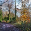 Blandford Forum in Dorset