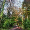 Blandford Forum in Dorset