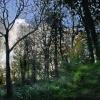 Blandford Forum in Dorset