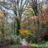 Blandford Forum in Dorset