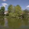 Village pond